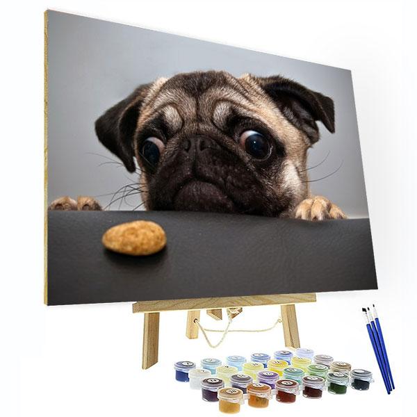 Paint by Numbers Kit - Cute Pug Dog Deco26