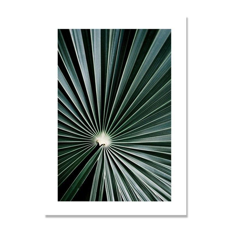 Nordic Poster Cactus Wall Art Green Plants Canvas Prints Unframed