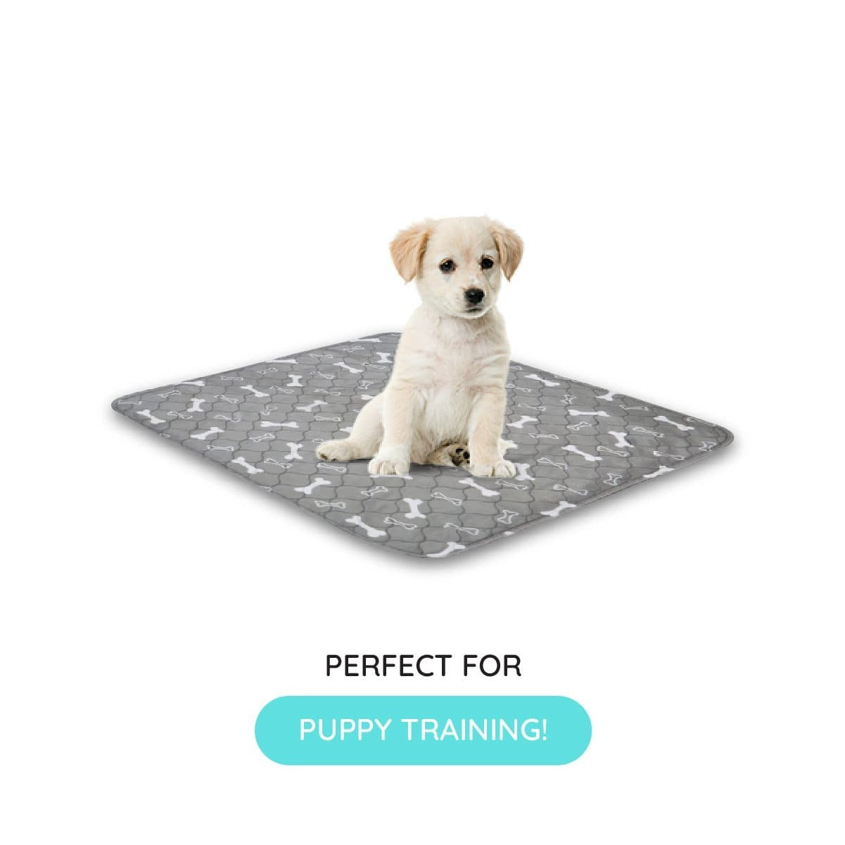FlashPad Reusable Dog Pee Pad Absorbent and Odor Controlling
