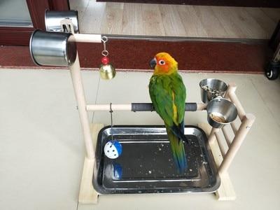 Bird Perches Parrot Playground with Feeder