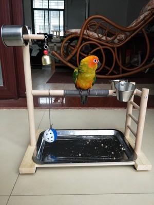 Bird Perches Parrot Playground with Feeder