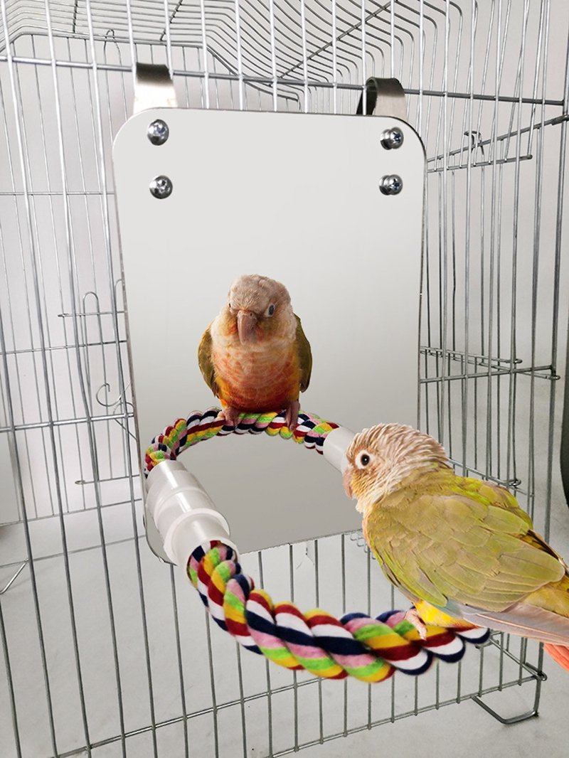 Bird Stand Accessories