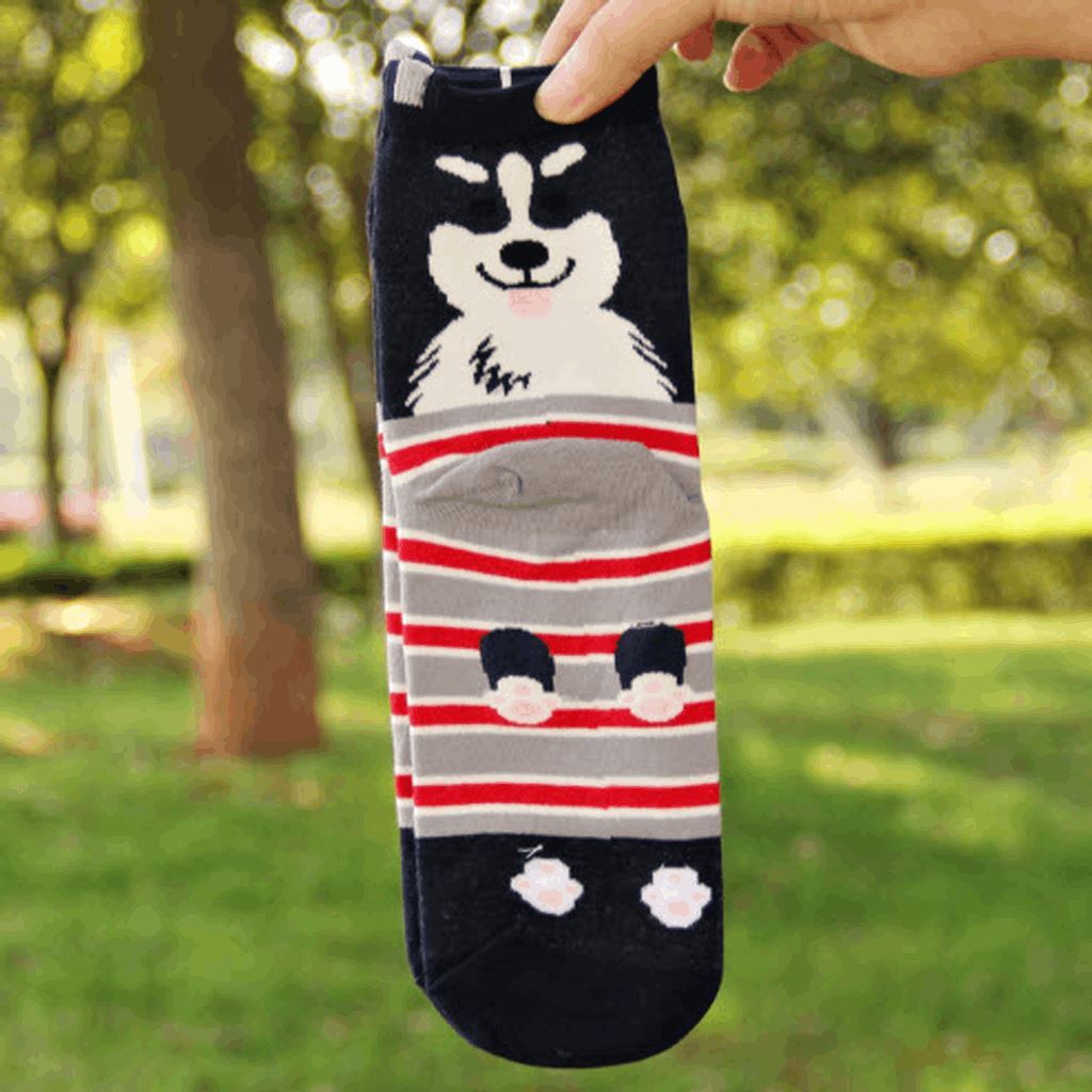 Cartoon Dog Couple Socks