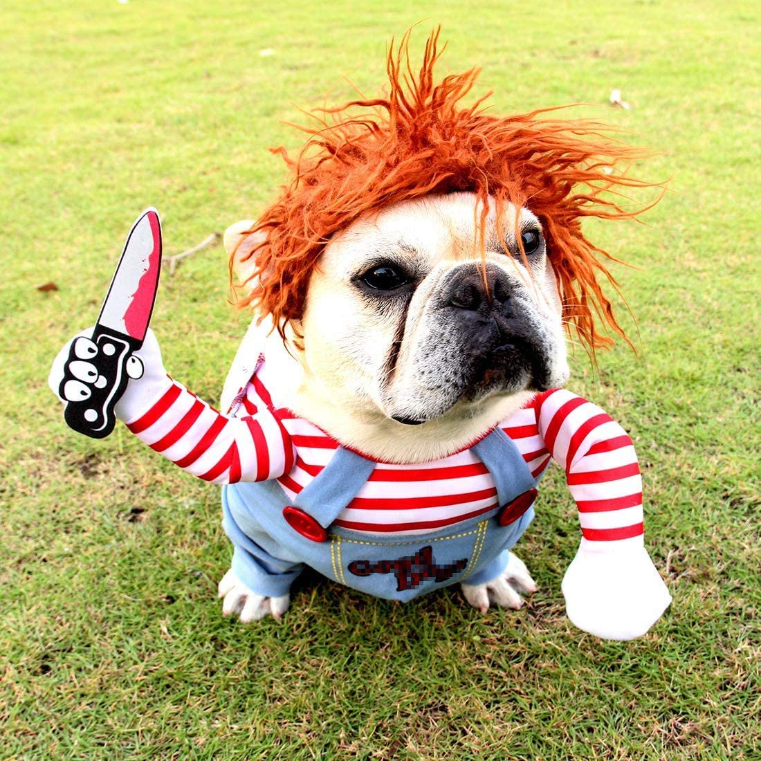 Chucky Doll Halloween Dog costume