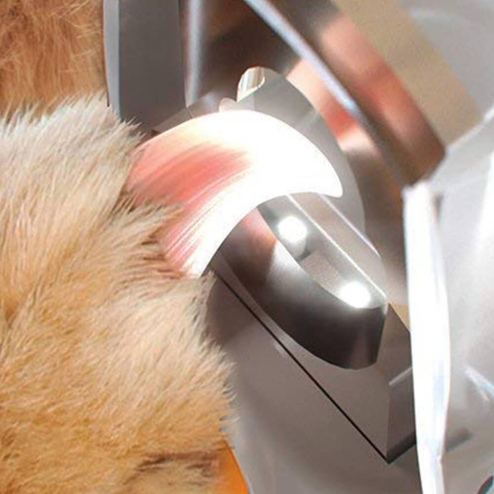 Pet Nail Clippers With Light & 5X Magnification