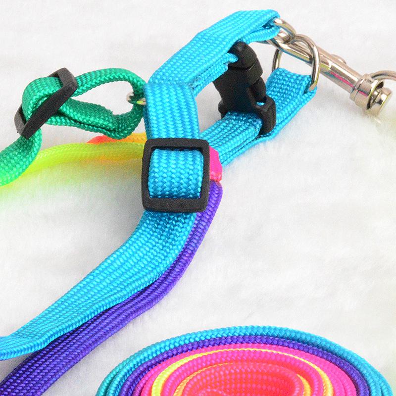 Colorful Rainbow Pet Collar Harness Leash