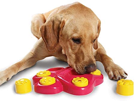 Dog Interactive Games Puzzle Toys Food Dispenser