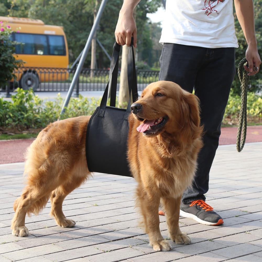 Dog Lift Support Aid Assist Sling