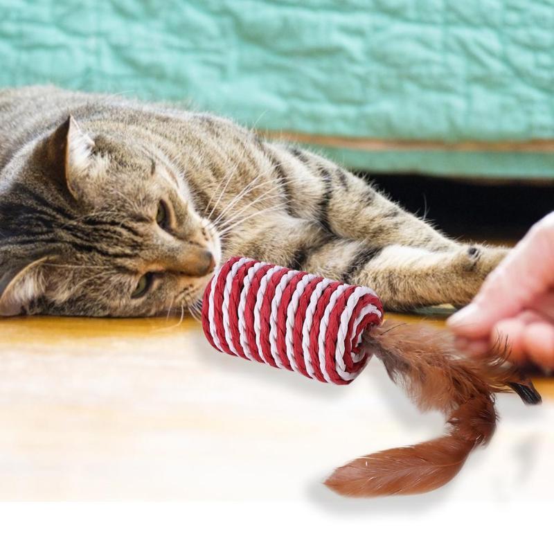 Feather Design Cat Teasing Toy