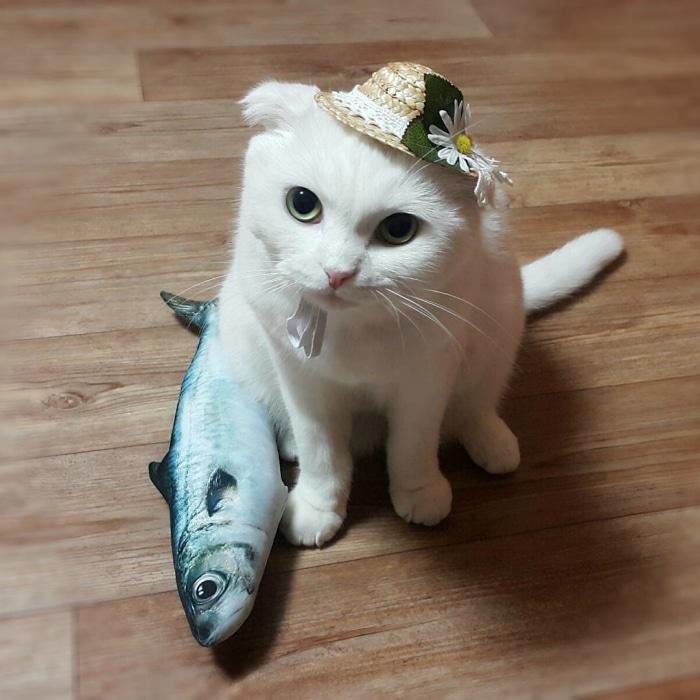 Fish Cat Toy Catnip Kicker [NON-Moving]