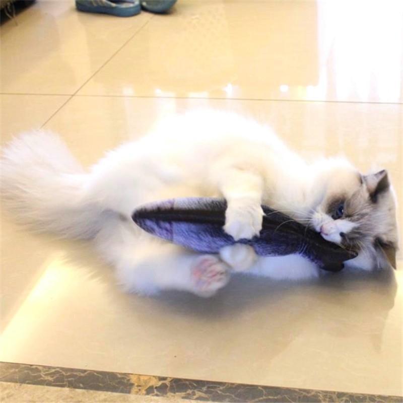 For All The Cats Who Love Fishes