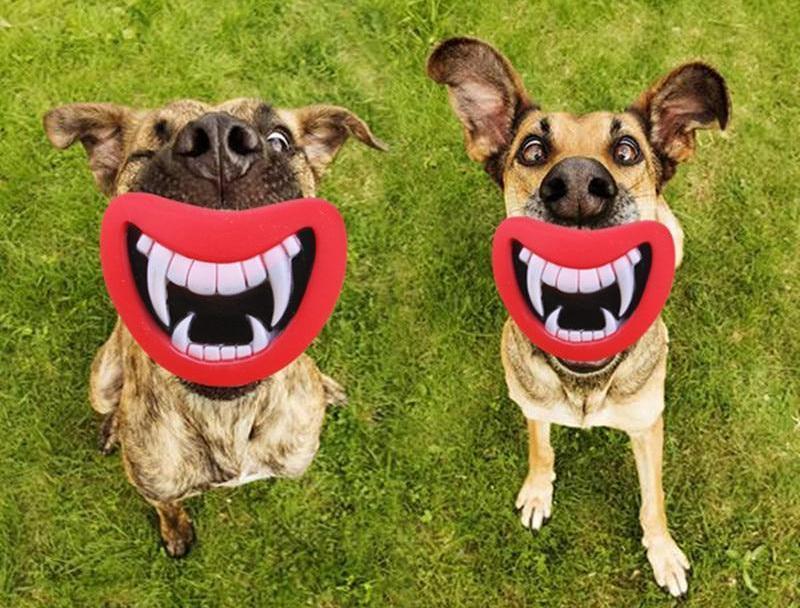 Funny Devil's Mouth Squeaky Toy