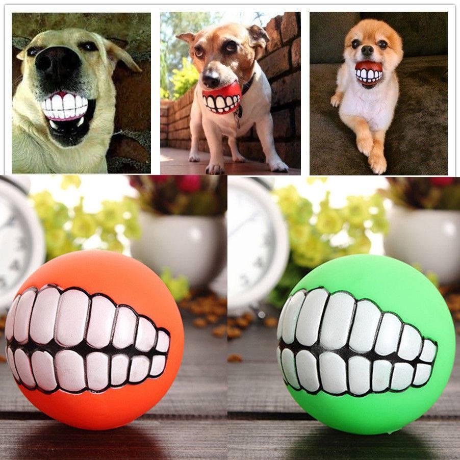 Funny Fetching Squeaky Toys Pet Supplies