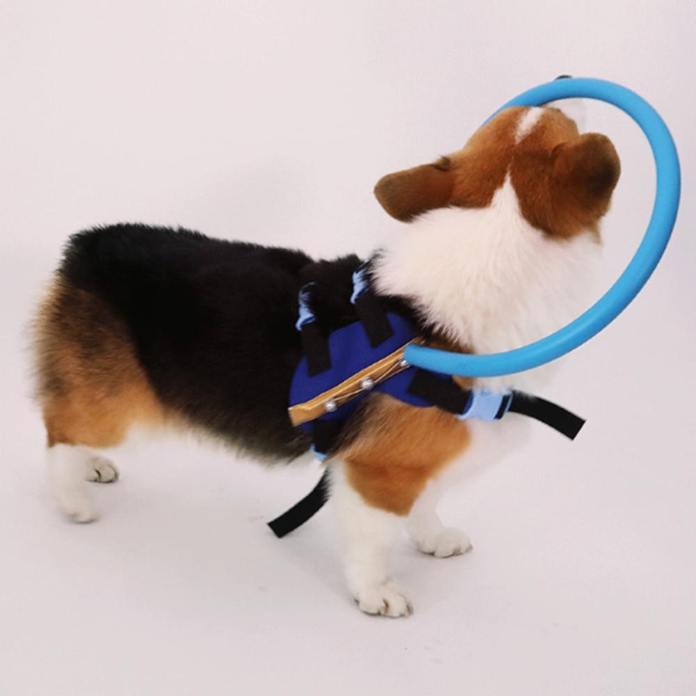 Guide Dog Anti-collision Ring