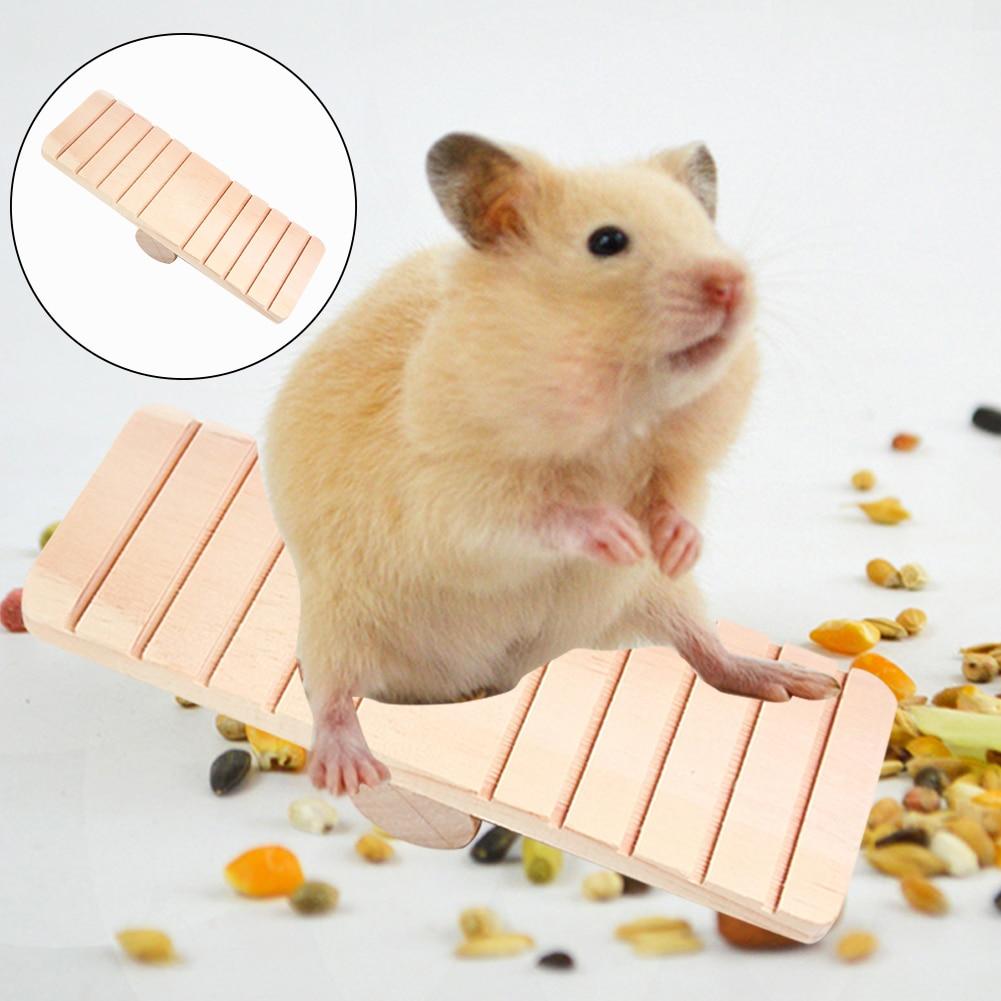 Hamster Seesaw