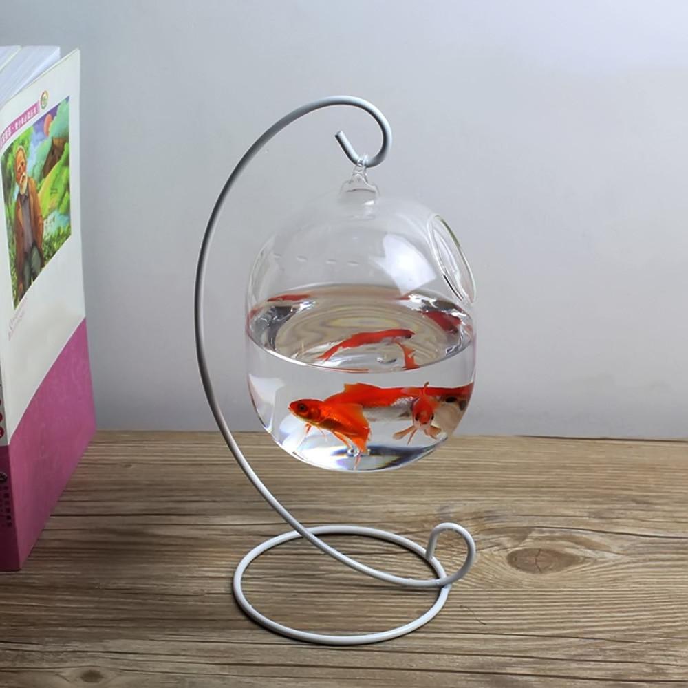 Hanging Glass Aquarium Fish Bowl with White Rack