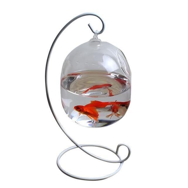 Hanging Glass Aquarium Fish Bowl with White Rack