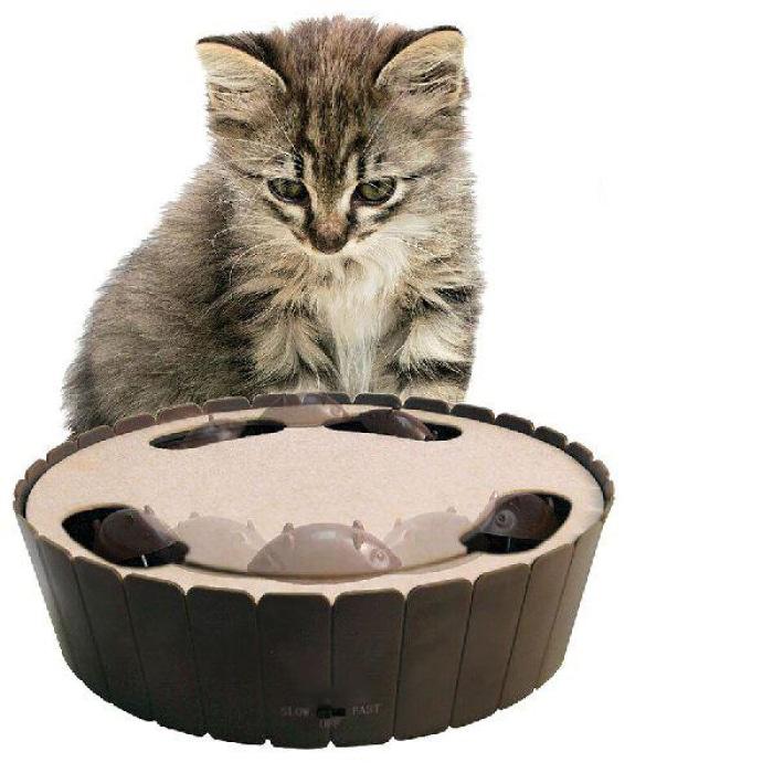 Interactive Mouse Chaser Cat Toy