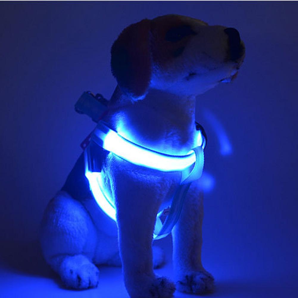 LED Flashing Light Pet Harness