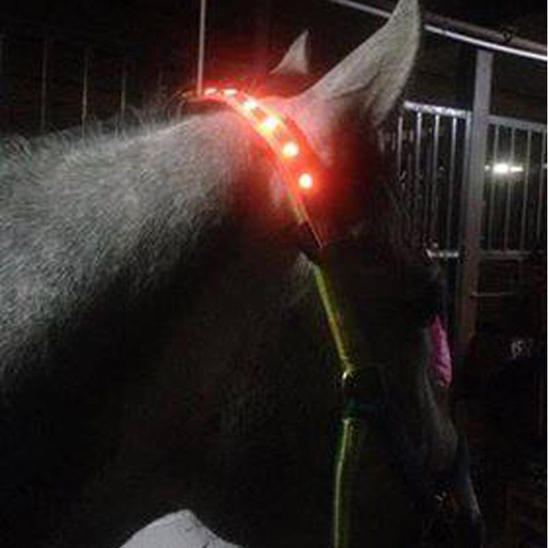 LED Horse Halter Decoration