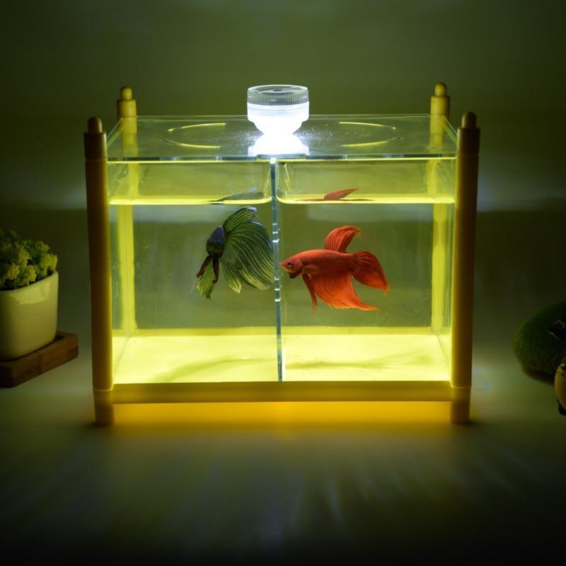 LED  Mini Glass Aquarium
