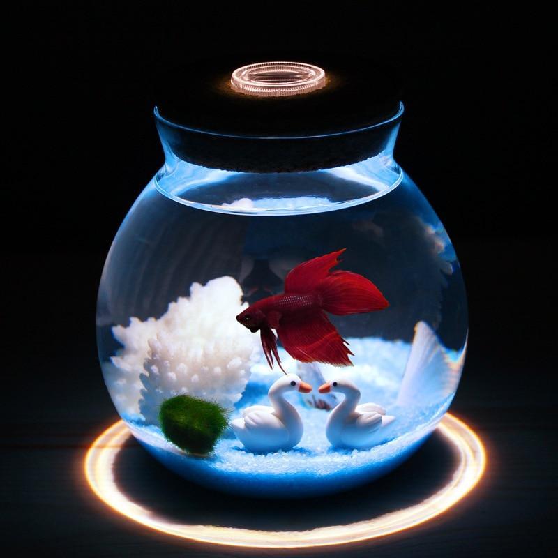 Mini Betta Fish Tank with Small Lights