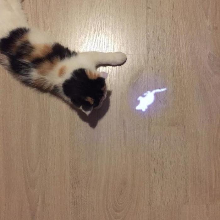Mouse Laser Cat Toy
