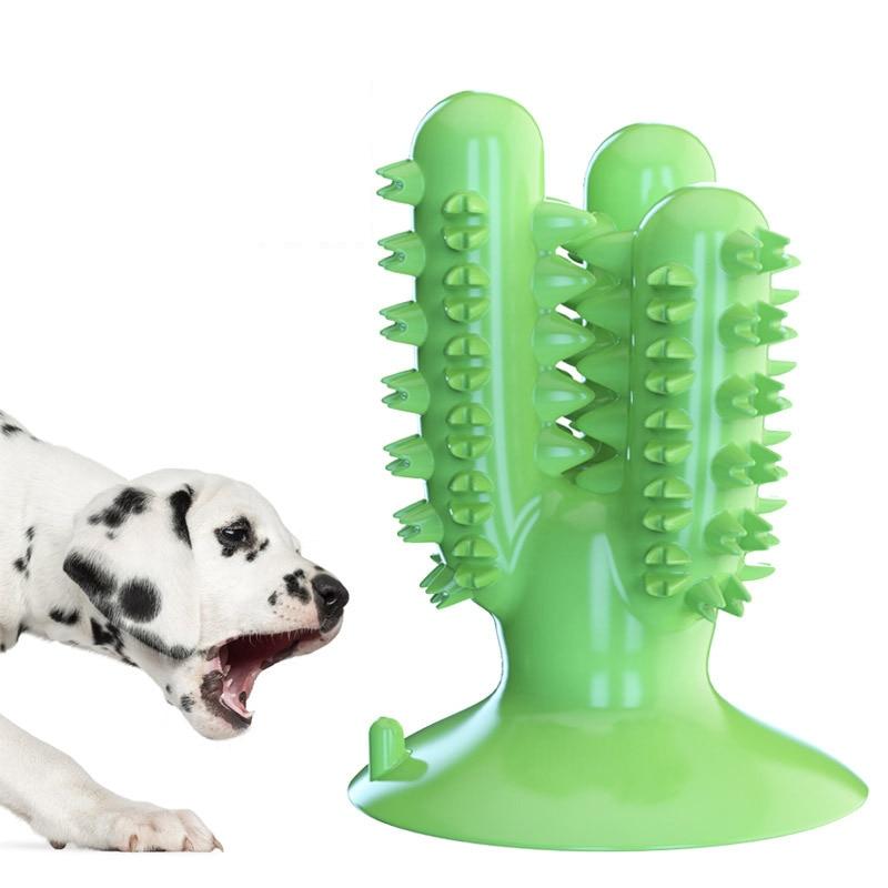 Multiple Dog Chewing Toys Toothbrush