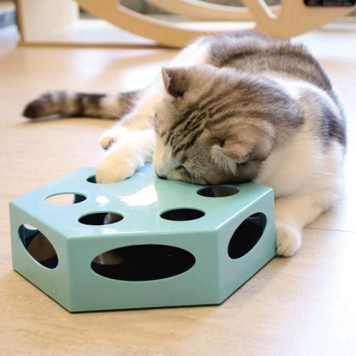 Magic Chaser Interactive Cat Toy