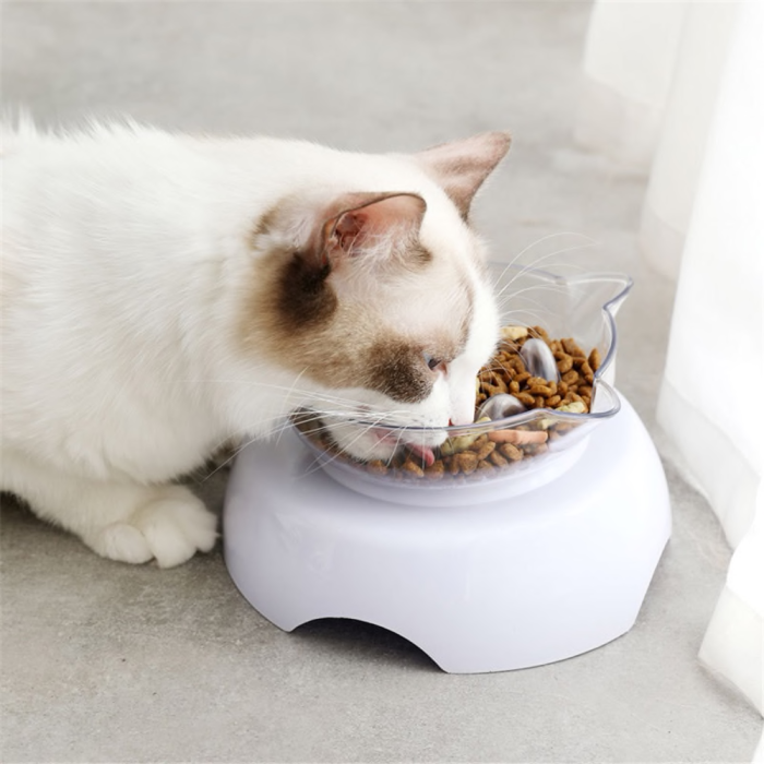 Orthopedic Cat Bowl & Slow Feeder 2-in-1 [Anti-Vomiting]