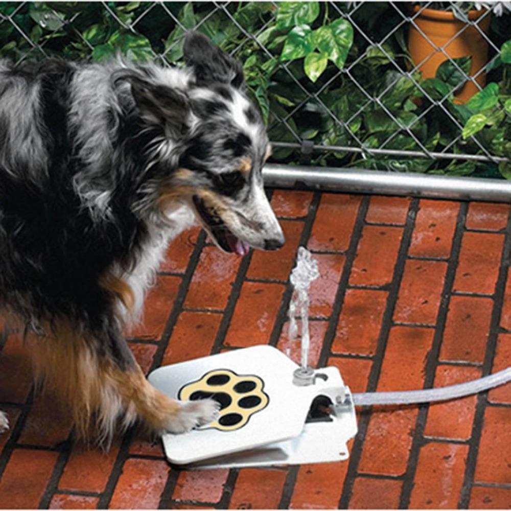 Outdoor Pet Drinking Water Sprinkler