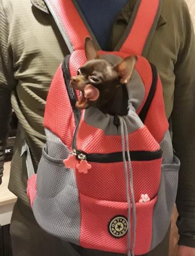 Outdoor Portable  Pet Carrier Bag