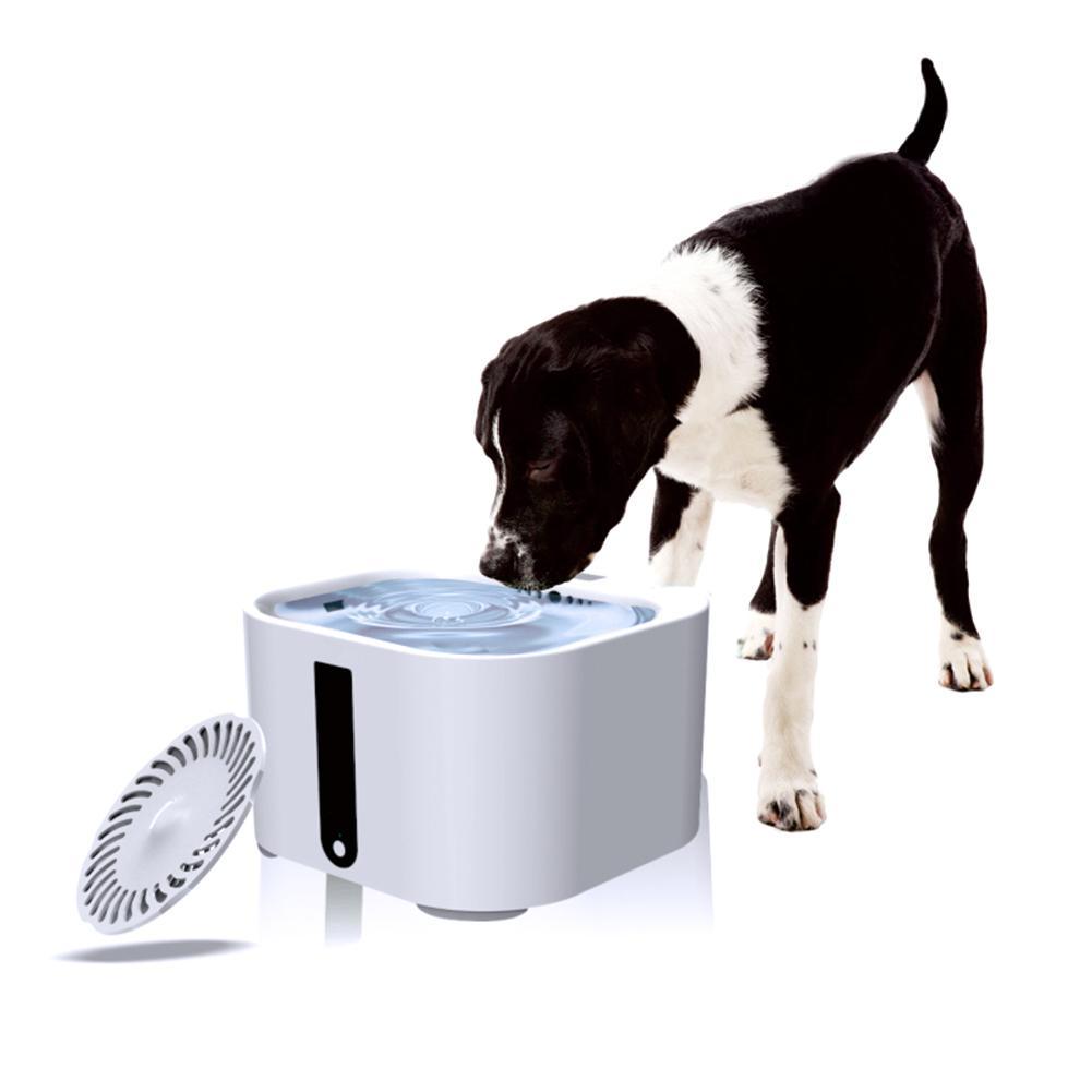 Pet Automatic Water Feeder