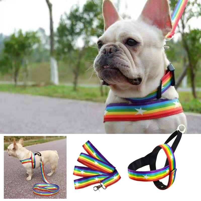 Pet Rainbow Harness Vest with Handle﻿