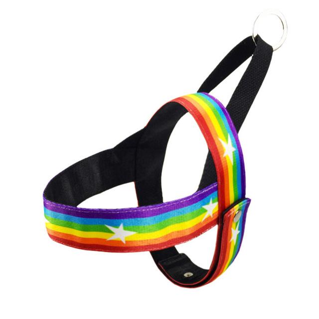 Pet Rainbow Harness Vest with Handle﻿