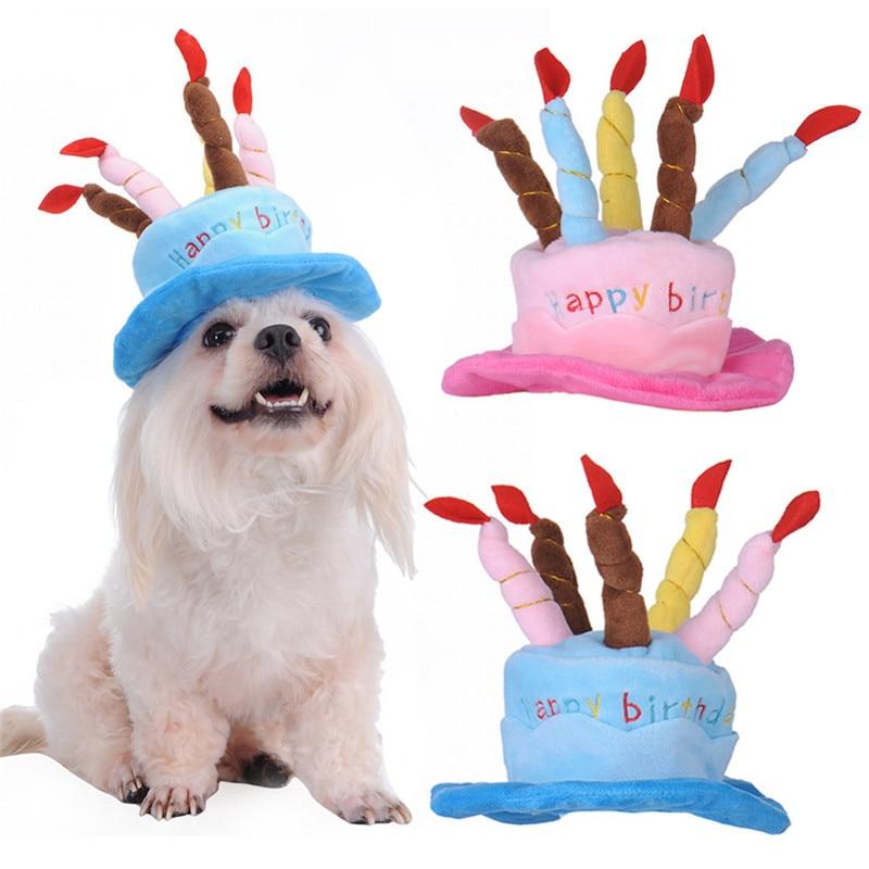 Pets Birthday Hat