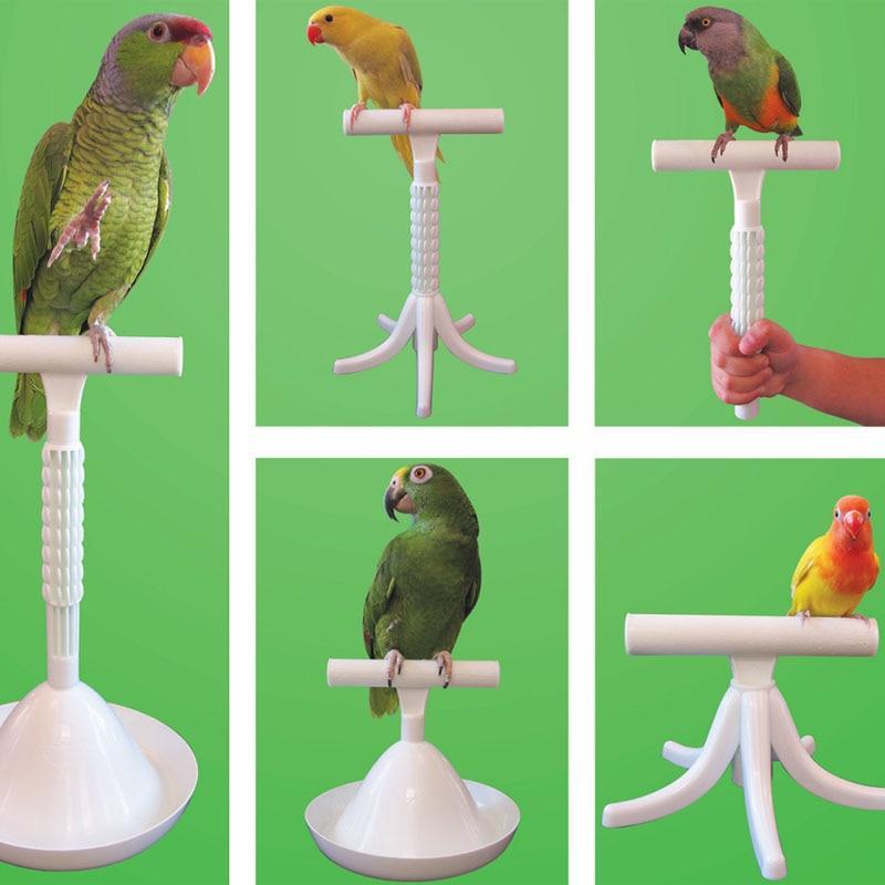 Portable Perch and Training Light Weight Bird Standing Toy