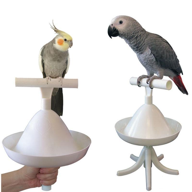 Portable Perch and Training Light Weight Bird Standing Toy