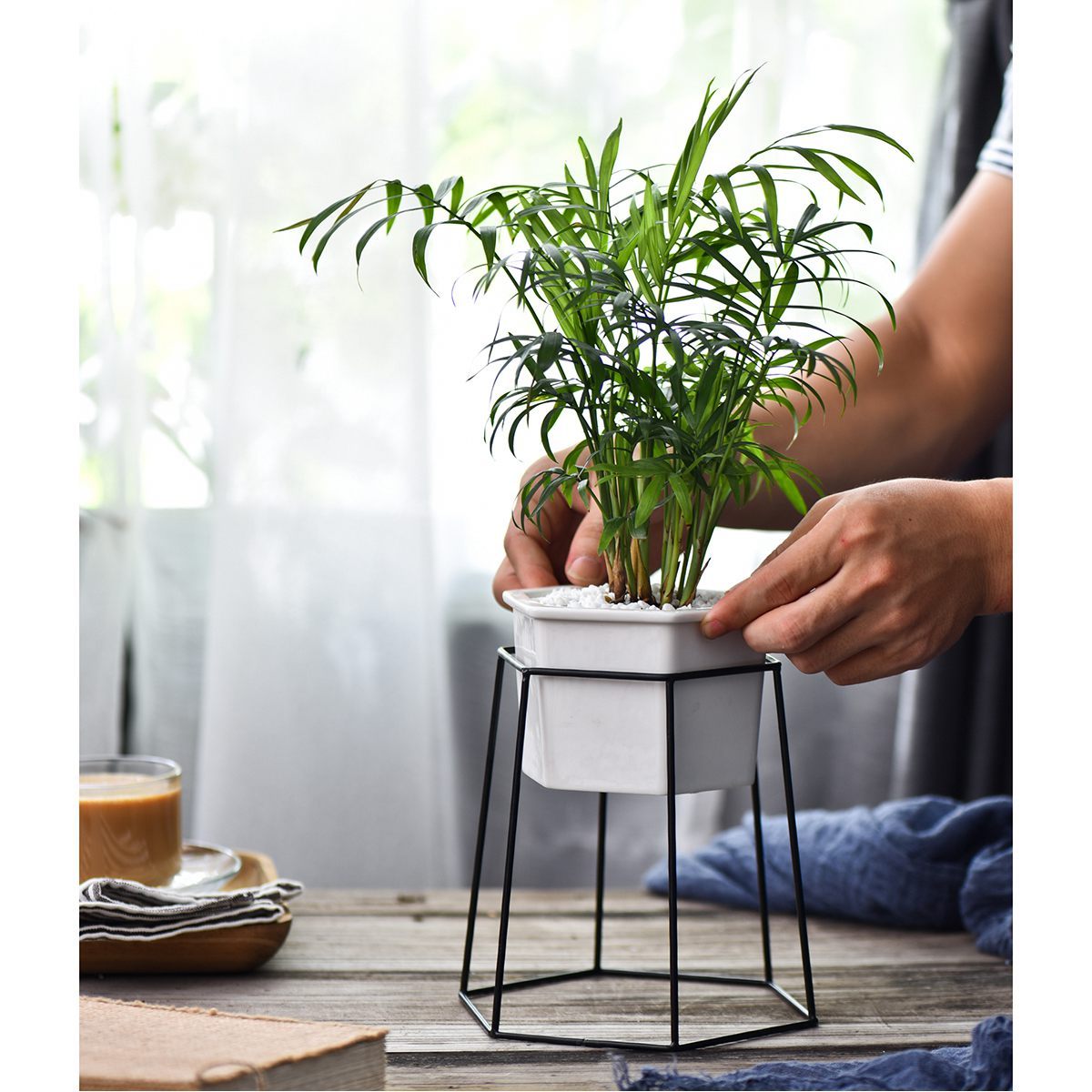 Dynesty - Hexagon Ceramic Planter & Stand