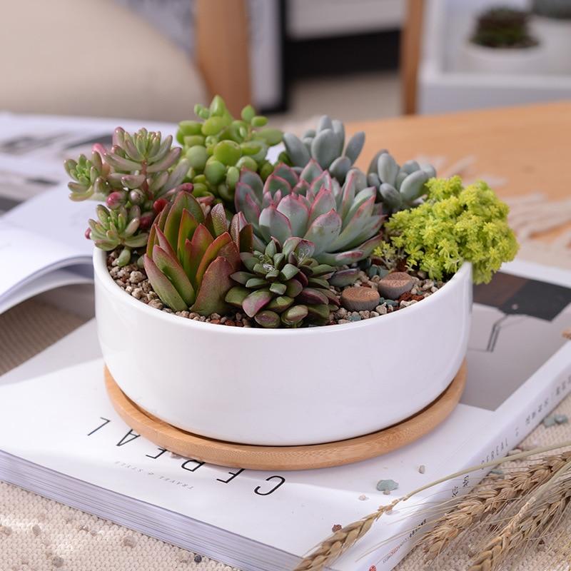 Bahari - Porcelain Round Desktop Succulent Planter