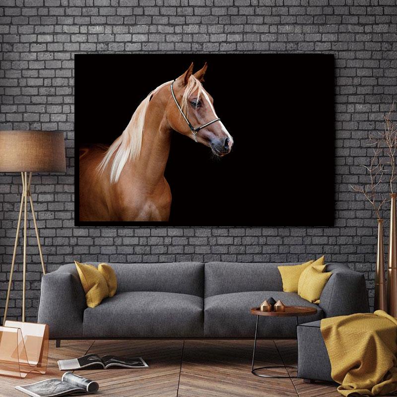 Unframed Wall Decor Beauty of Horse-Head Multiple Sizes