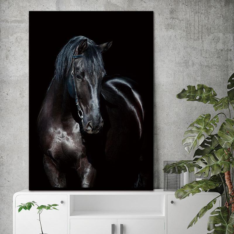 Wall Decor Beauty of Horse-Black Multiple Sizes