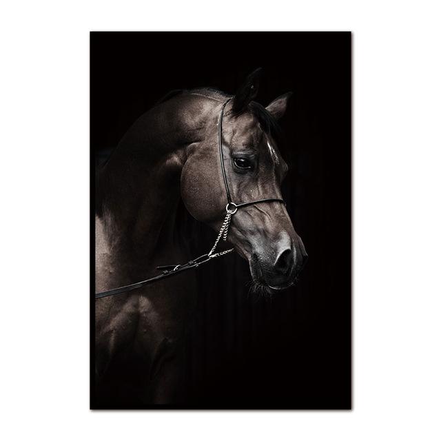 Unframed Wall Decor Beauty of Horse-Profile Multiple Sizes