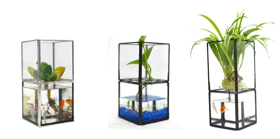 Barnabas - Modern Hydroponic Succulent Frame Planter
