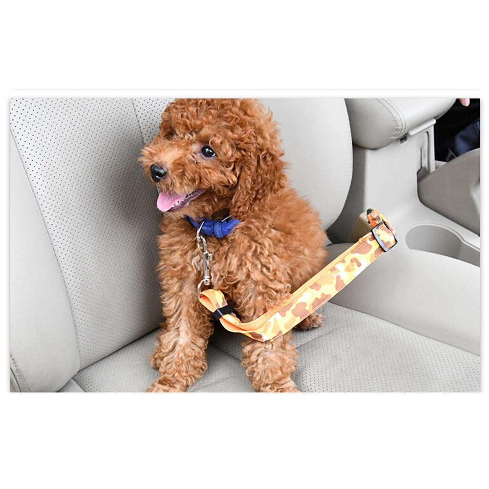 Rechargeable Glowing Dog Seat Belt