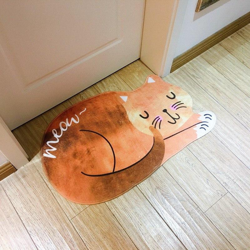 Sleeping Cat Entrance Floor Carpets