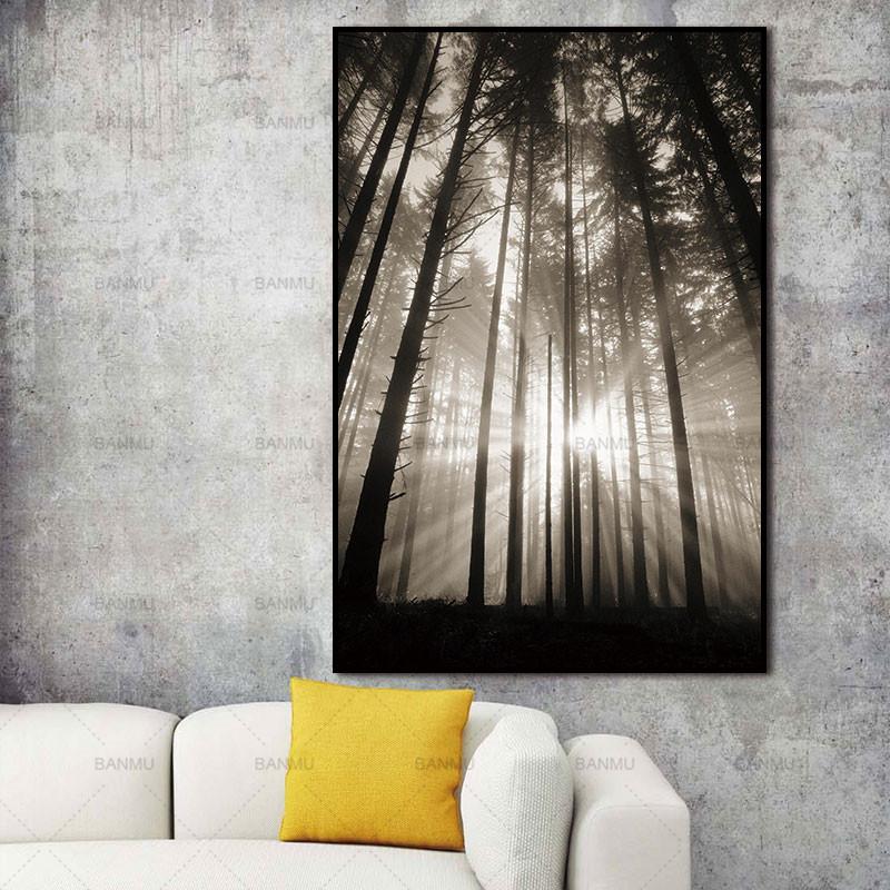 Black and White Wall Decor Sun in the Forest