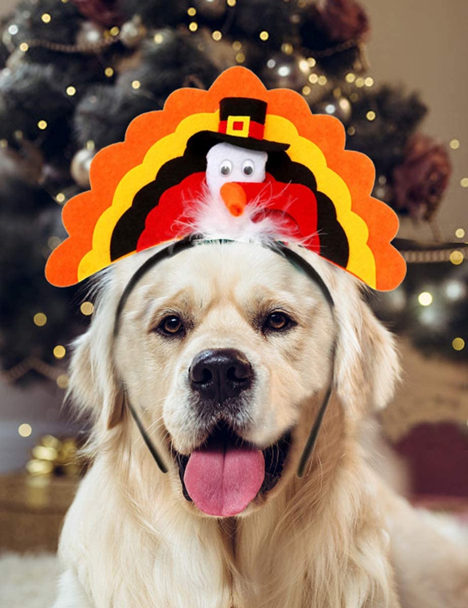 Turkey Dog Headband for Thanksgiving