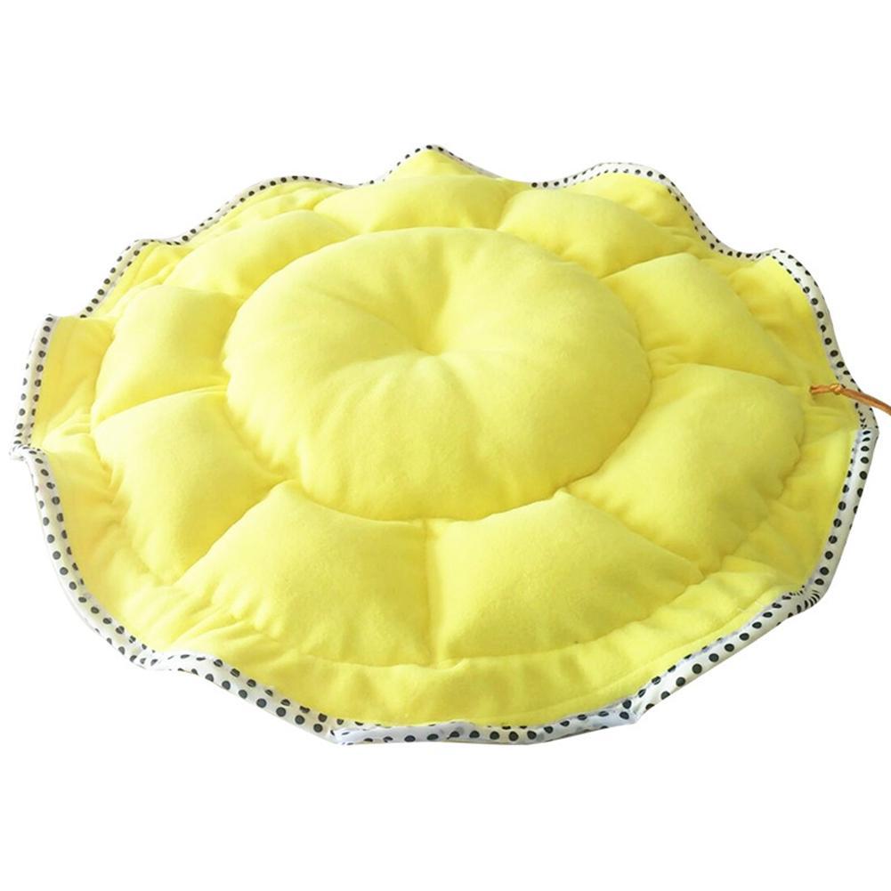 Vibrant Pet Bed with Pillow